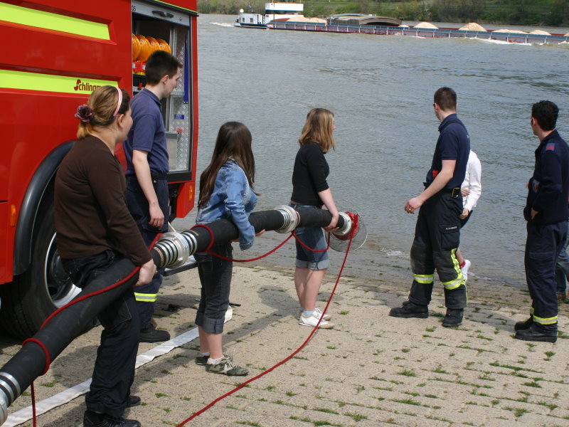 Saugleitung am Rhein