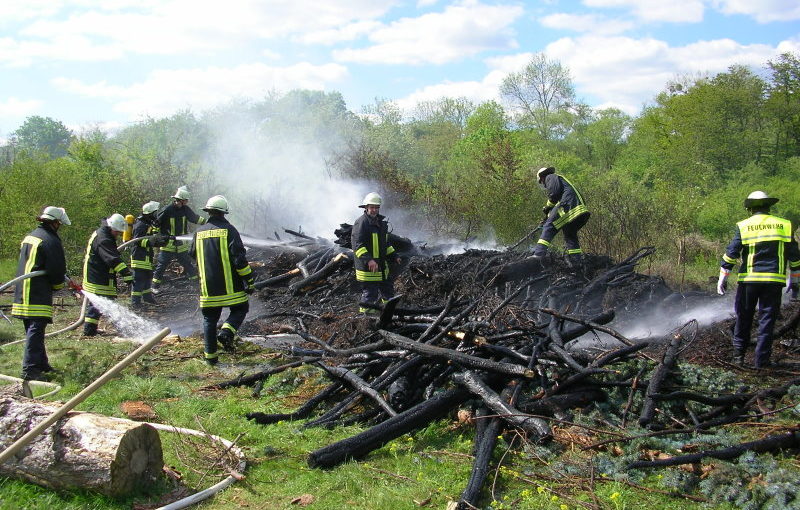 Brand von mehreren Baumstämmen