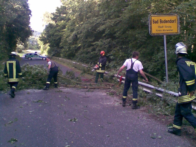 Beseitigen des Baumes