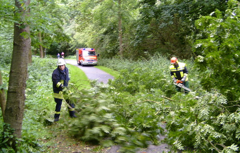 Feuerwehr beseitigte den Baum