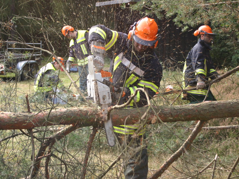 Entasten der Baumstämme