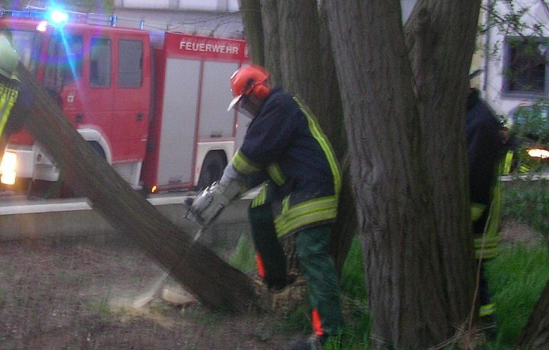 Mit der Kettensäge wird der Baum gefällt