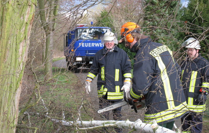 Zahlreiche Bäume knickten um