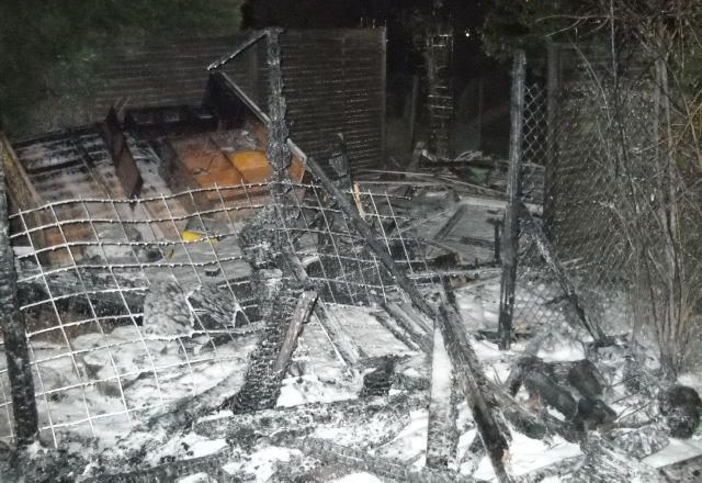 Gartenlaube wurde durch das Feuer zerstört