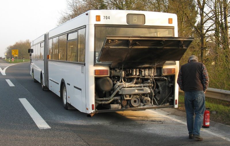 Der Fahrer löschte den Brand rechtzeitig