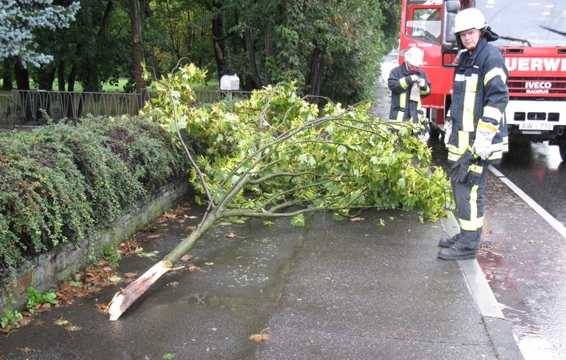 Durch den Sturm war der Ast abgeknickt
