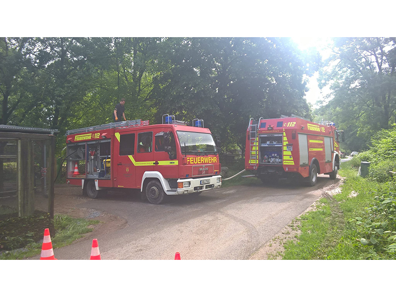 Radweg am Schwanenteig