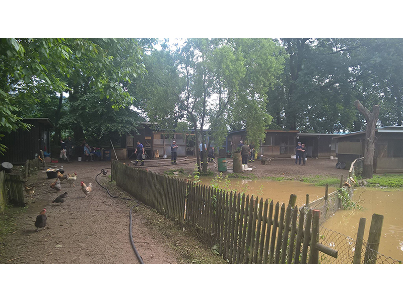 Hochwasser am Schwanenteig