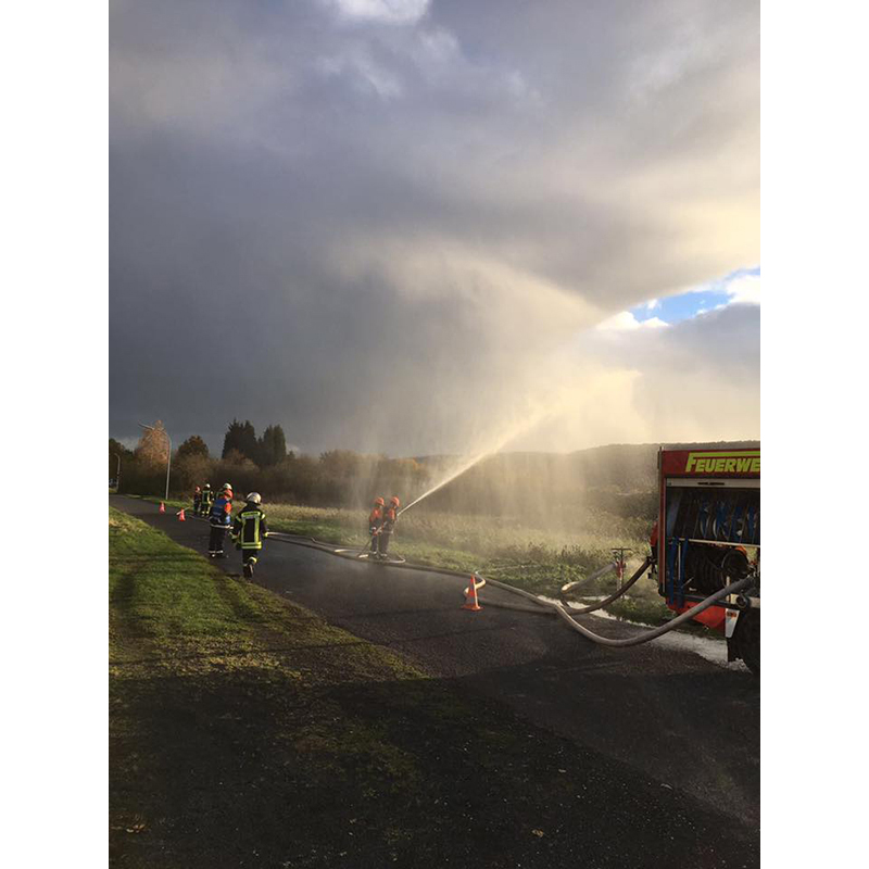 Flächenbrand am Rhein