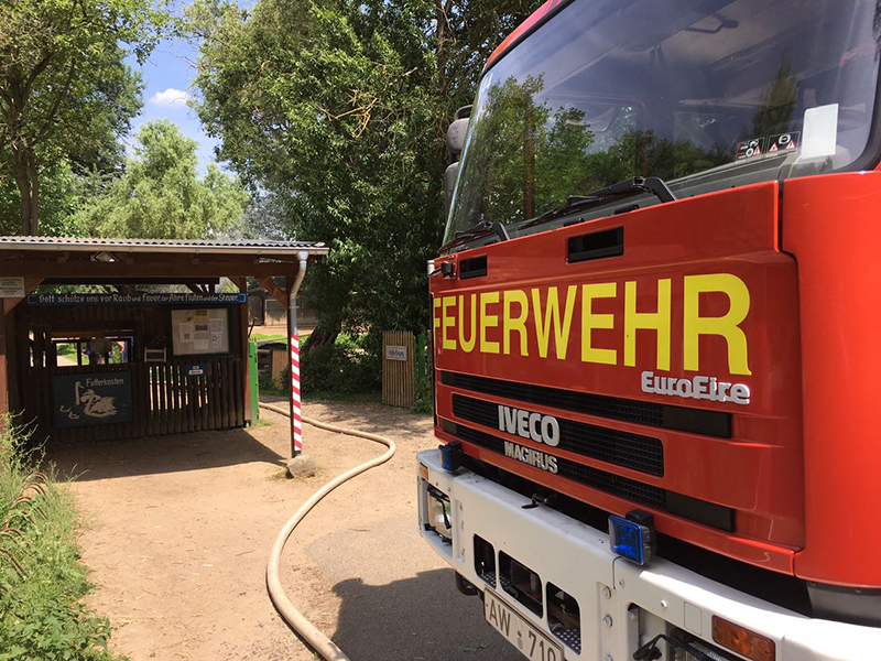 LF 16/12 am Schwanenteich