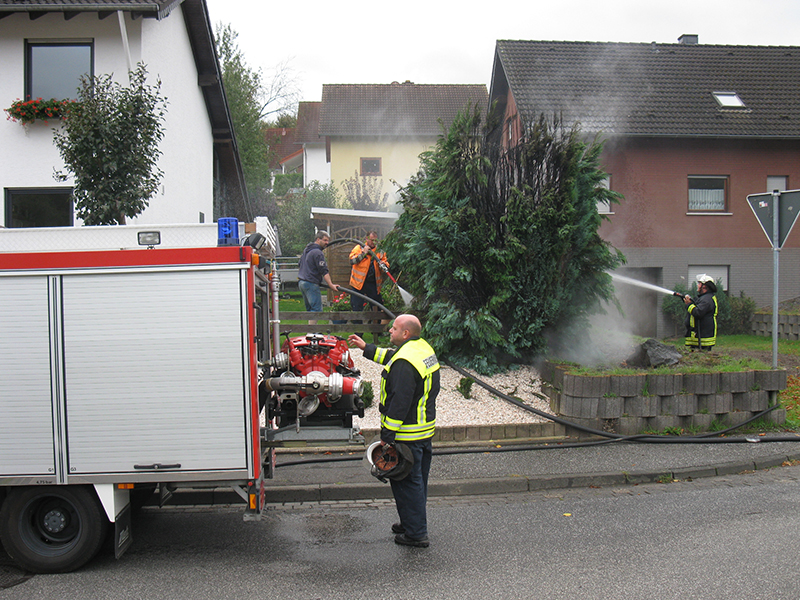 19.09.2017 - Heckenbrand Westumer Straße
