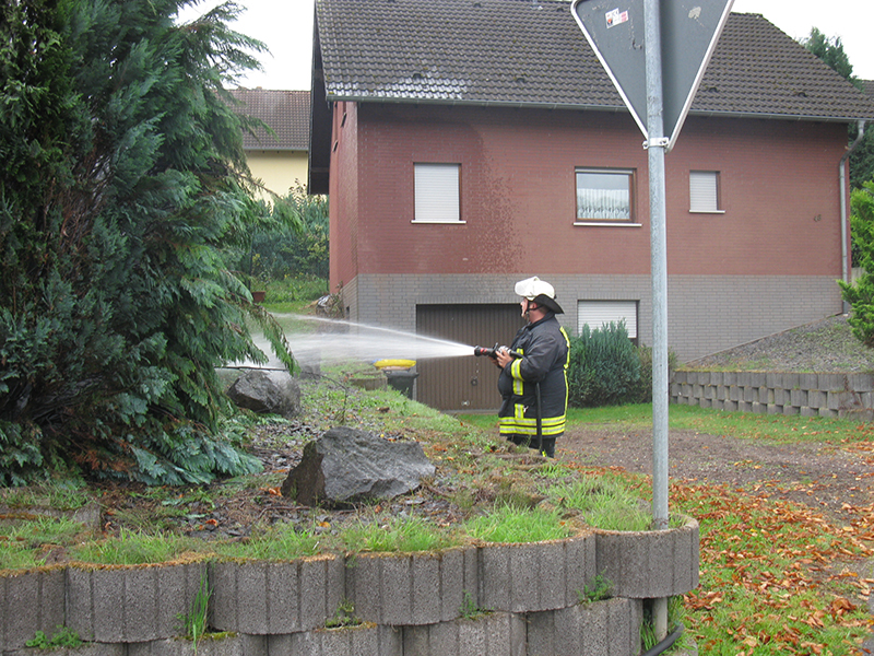 19.09.2017 - Heckenbrand Westumer Straße