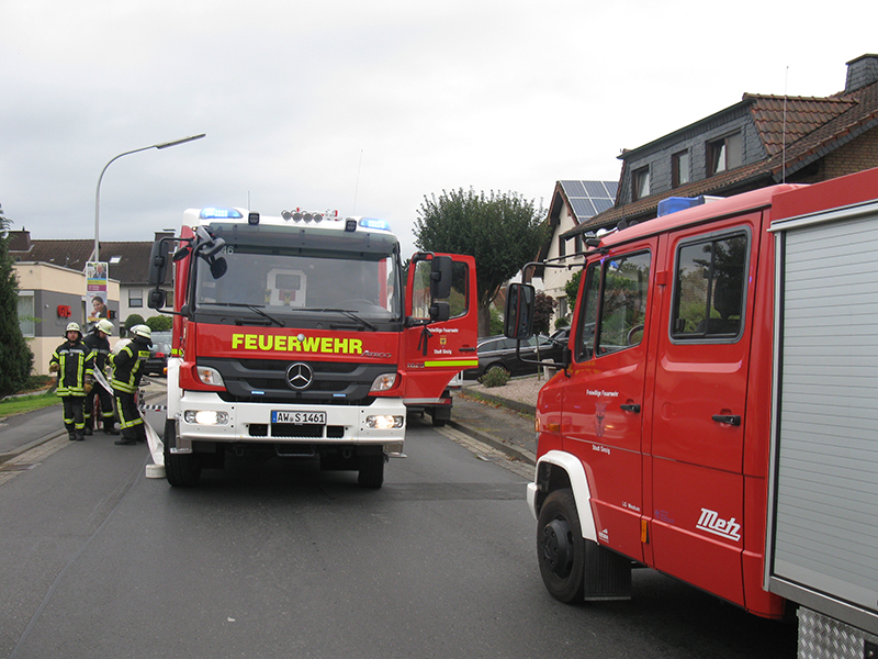 19.09.2017 - Heckenbrand Westumer Straße
