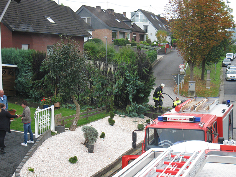19.09.2017 - Heckenbrand Westumer Straße