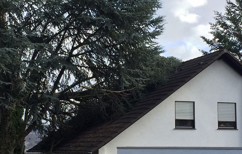 19.01.2018 - Sturmschäden