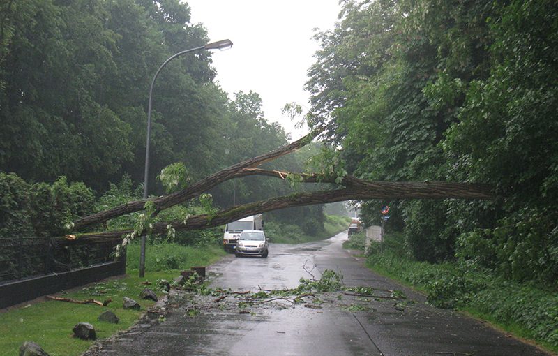 13.05.2018 - Baum auf Strasse