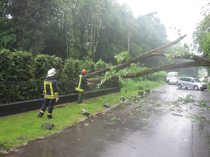 13.05.2018 - Baum auf Strasse