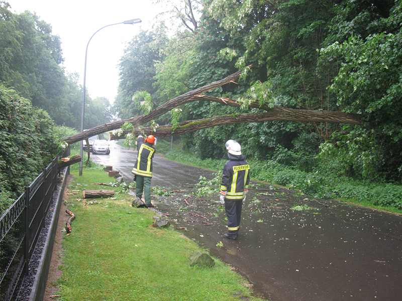 13.05.2018 - Baum auf Strasse