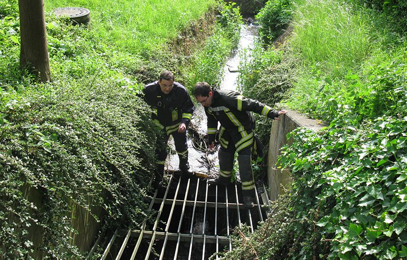 21.05.2018 - Entenfamilie gerettet