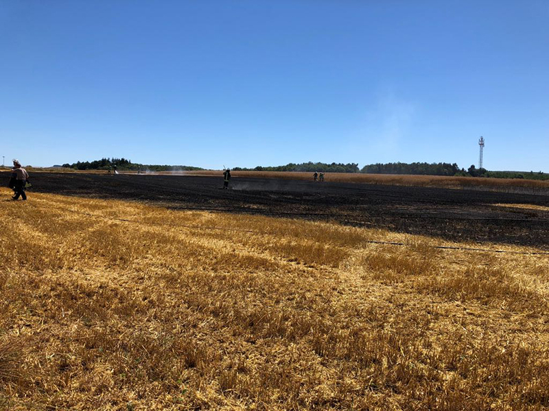01.07.2018 - Flächenbrand Franken