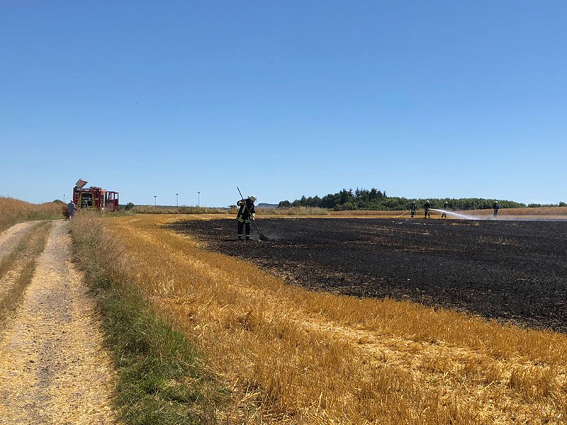 01.07.2018 - Flächenbrand Franken