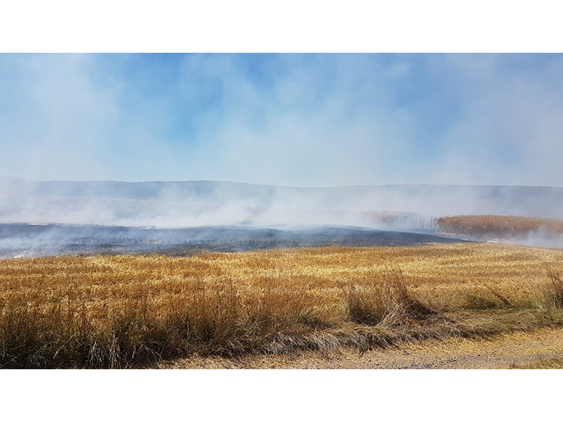 01.07.2018 - Flächenbrand Franken