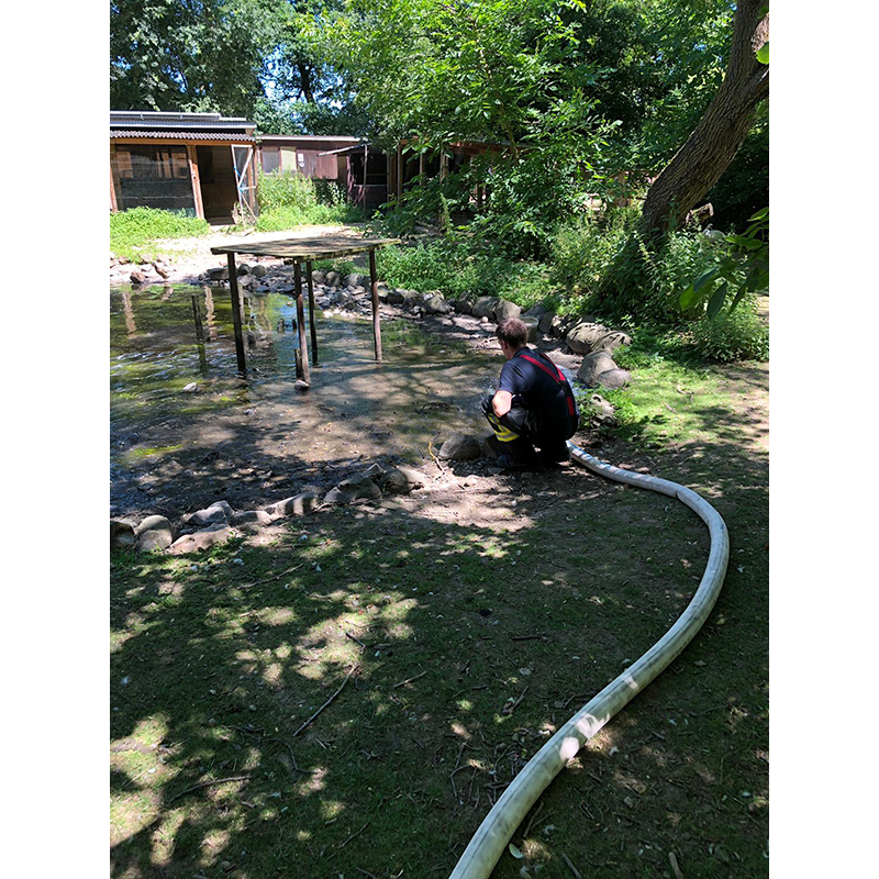 29.06.2019 - Schwanenteich