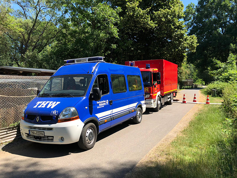 29.06.2019 - Schwanenteich