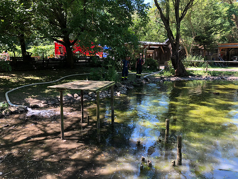 29.06.2019 - Schwanenteich