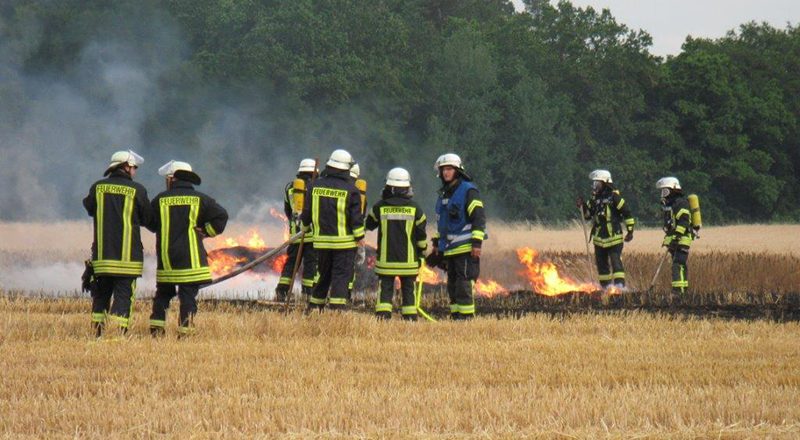 07.07.2019 - Flächenbrand Koisdorf