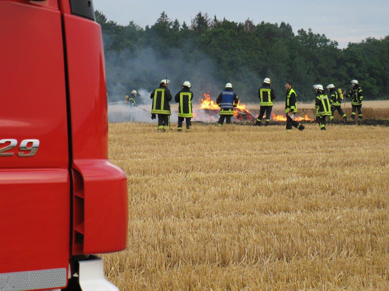 07.07.2019 - Flächenbrand Koisdorf