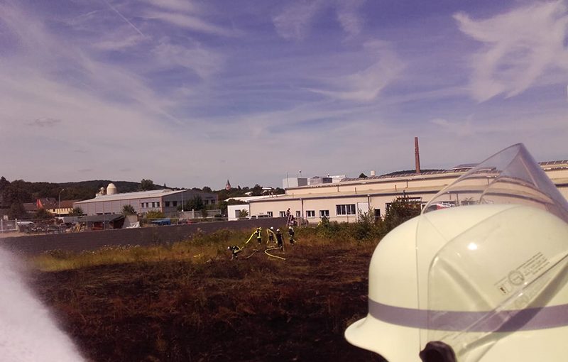 22.07.2019 - Flächenbrand Kranzweiherweg