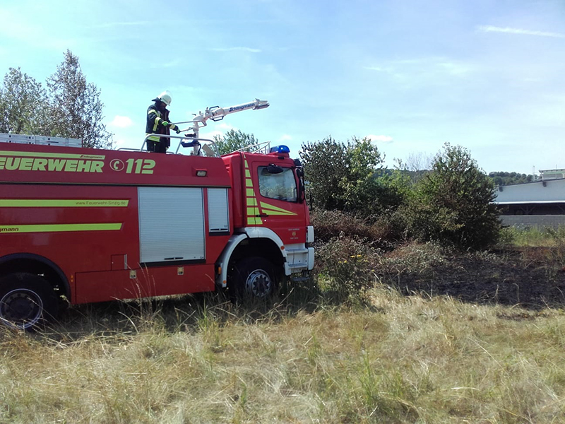 22.07.2019 - Flächenbrand Kranzweiherweg