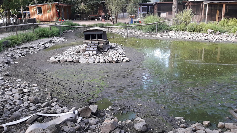 25.07.2019 - Schwanenteich