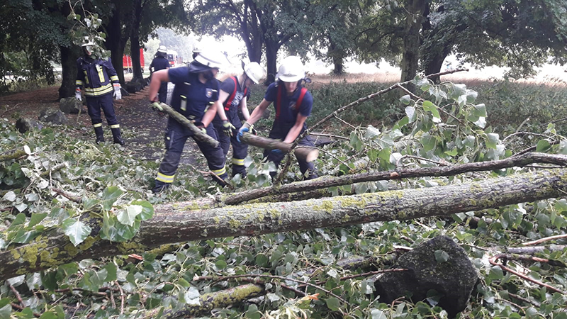 27.07.2019 - Baum auf Fahrbahn Bootshaus