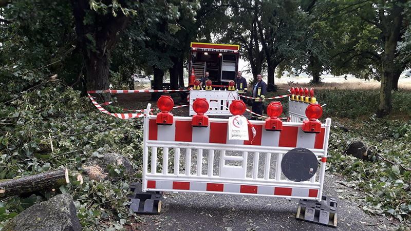 27.07.2019 - Baum auf Fahrbahn Bootshaus