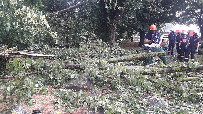 27.07.2019 - Baum auf Fahrbahn Bootshaus