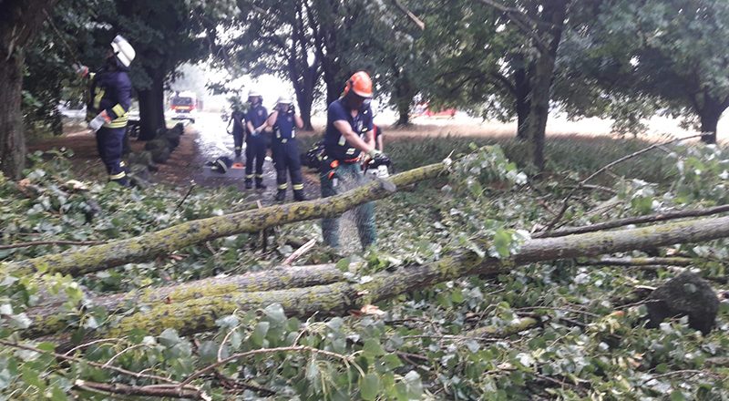 27.07.2019 - Baum auf Fahrbahn Bootshaus