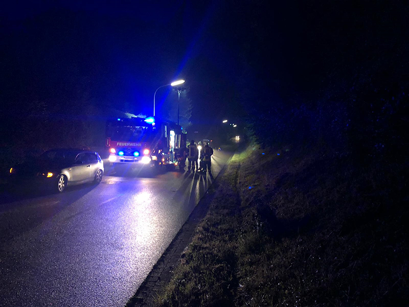 27.07.2019 - Baum auf Fahrbahn - Koisdorfer Strasse