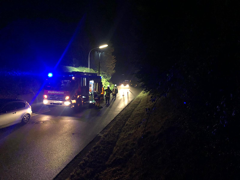 27.07.2019 - Baum auf Fahrbahn - Koisdorfer Strasse
