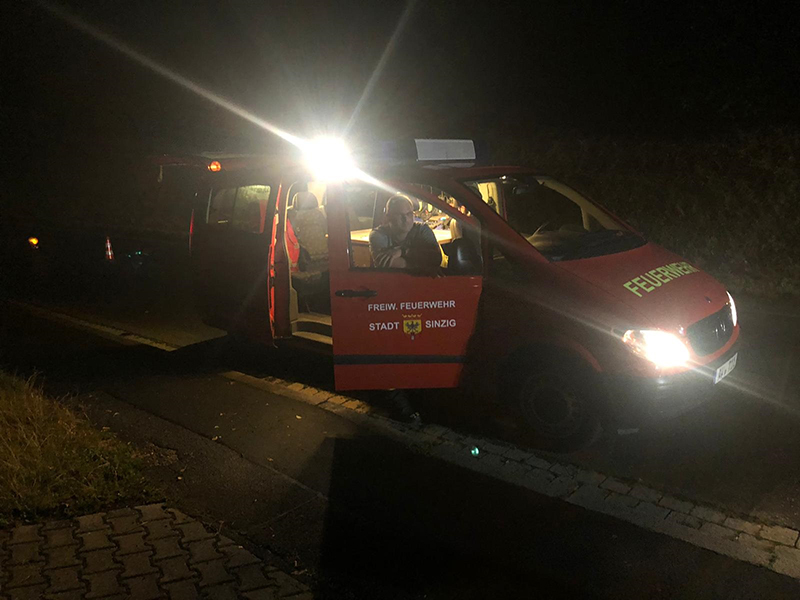 27.07.2019 - Baum auf Fahrbahn - Koisdorfer Strasse