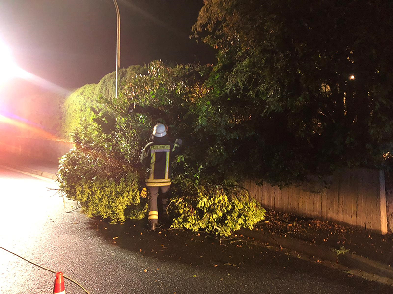 27.07.2019 - Baum auf Fahrbahn - Koisdorfer Strasse