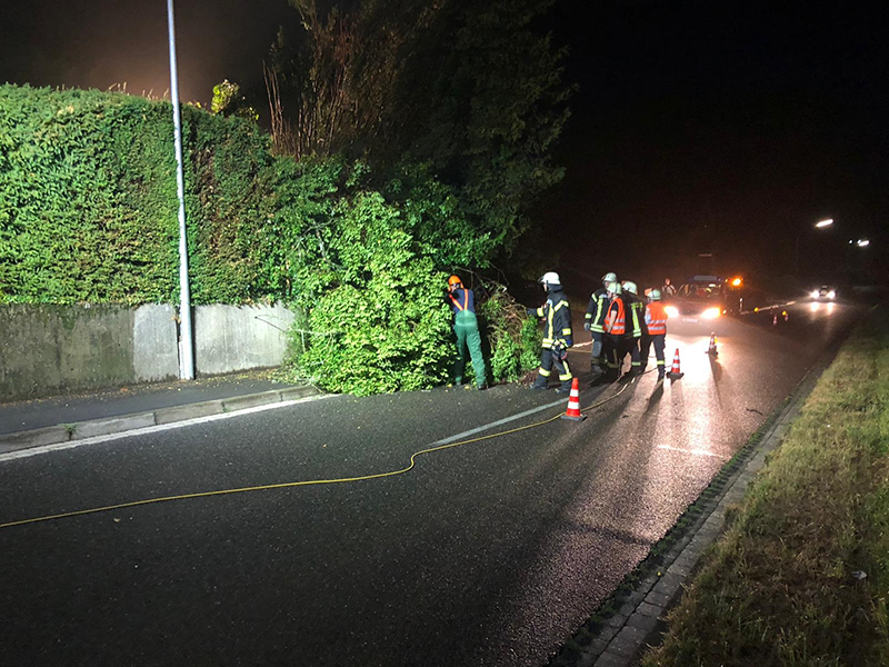 27.07.2019 - Baum auf Fahrbahn - Koisdorfer Strasse