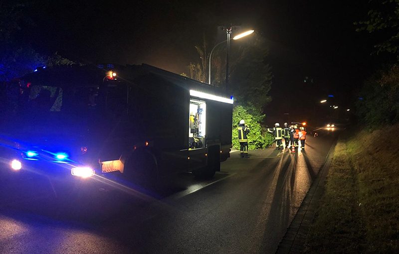 27.07.2019 - Baum auf Fahrbahn - Koisdorfer Strasse