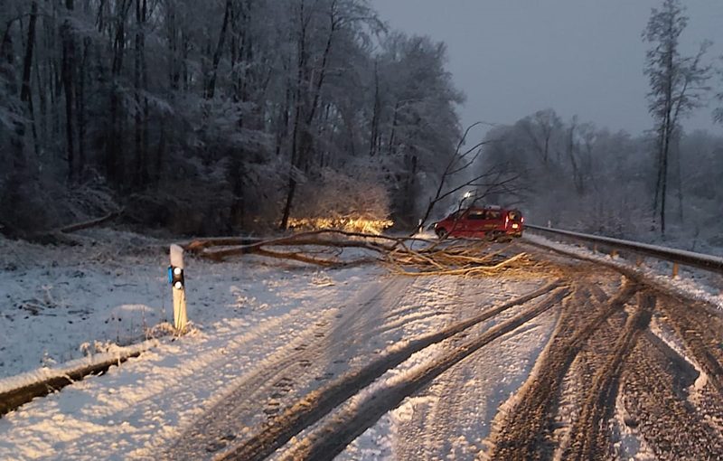27.02.2020 - Baum auf Fahrbahn