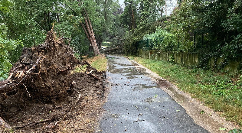 12.08.2020 - Unwetterschäden