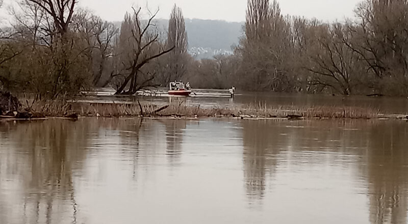 07.02.2021 - Tierrettung Rhein