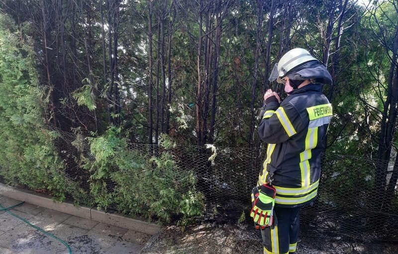 15.06.2021 - Heckenbrand