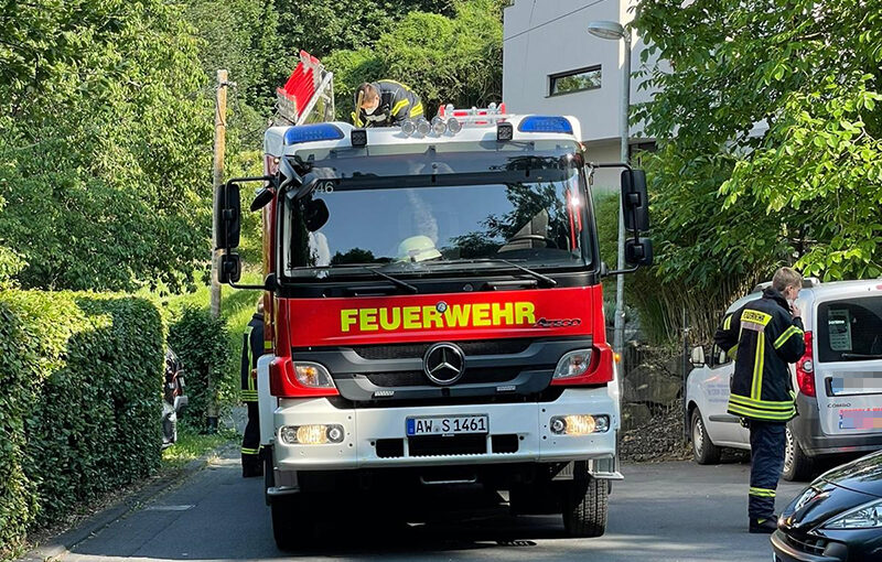 25.06.2021 - Schlange im Garten