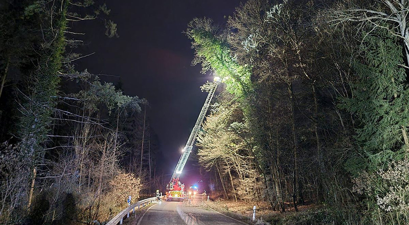 16.02.2022 - Baum droht auf Straße zu stürzen